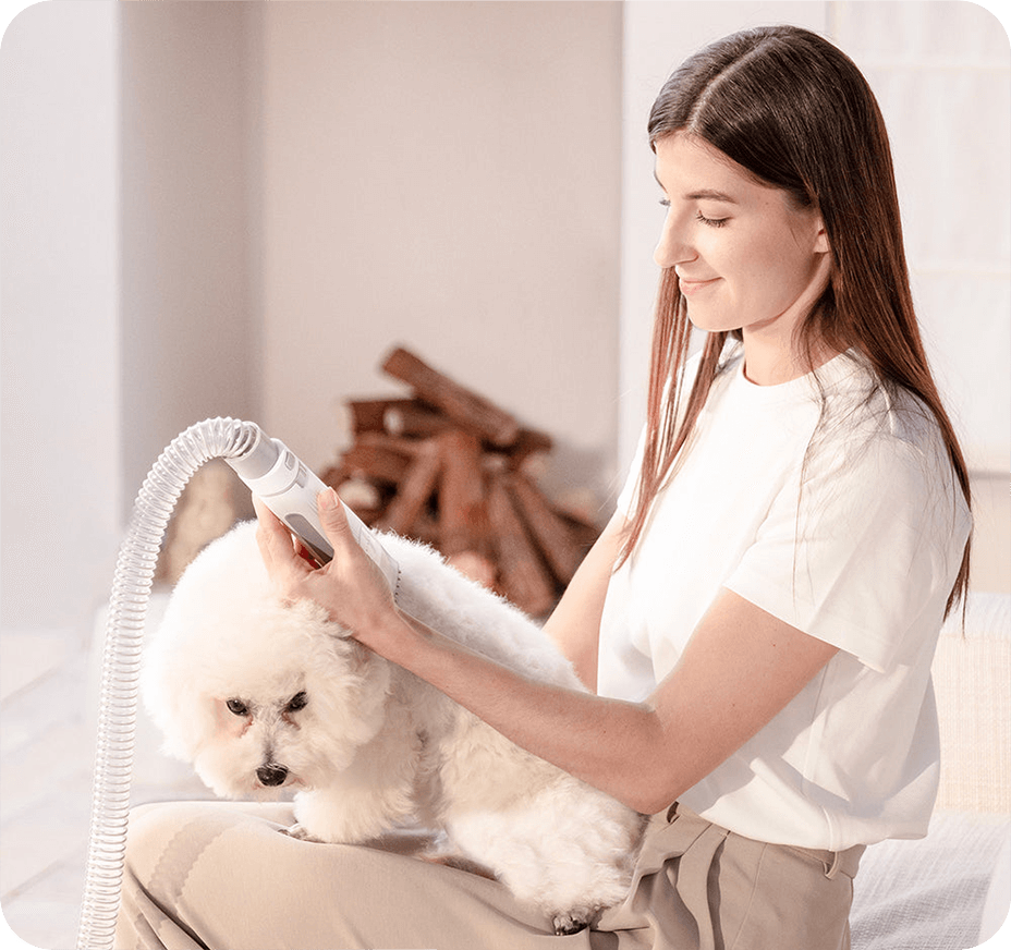 Zestaw do pielęgnacji sierści Petkit Pet Grooming Vacuum Kit